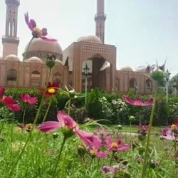 Local Mosques - Almar