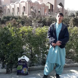 Local Mosques - Almar