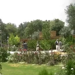 Local Mosques - Almar