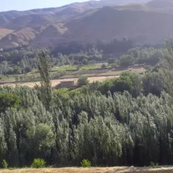 Local Villages - Almar