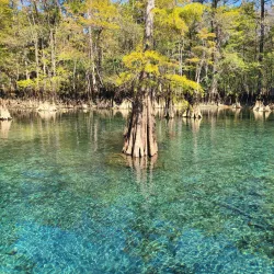 Nearby Natural Springs - Almar