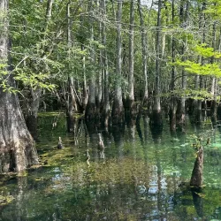 Nearby Natural Springs - Almar