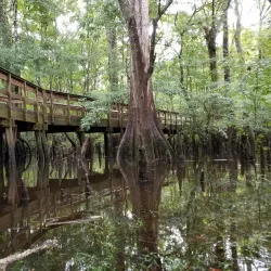 Nearby Natural Springs - Almar