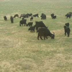 Surrounding Countryside - Andkhōy