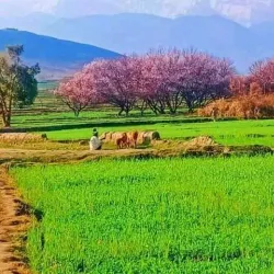 Mountains Surrounding Asadabad - Asadabad