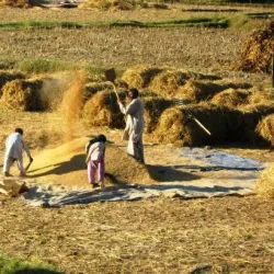 Peche River Valley - Asadabad