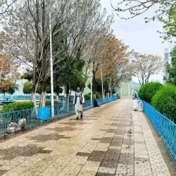 Historic Mosque of Azrow - Azrow