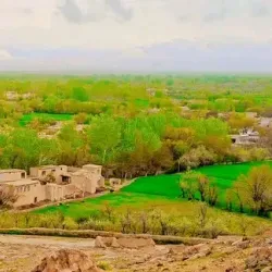Agricultural Fields - Baraki Barak