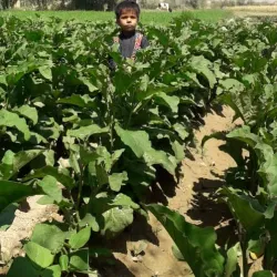 Baraki Barak Historical Sites - Baraki Barak