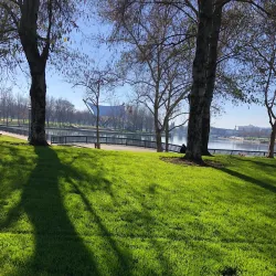 Cultural Festivals and Events - Baraki Barak