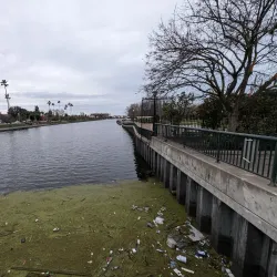 Cultural Festivals and Events - Baraki Barak