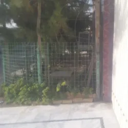 Local Mosques - Baraki Barak