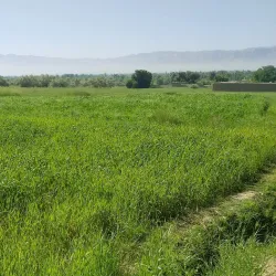 Logar River - Baraki Barak