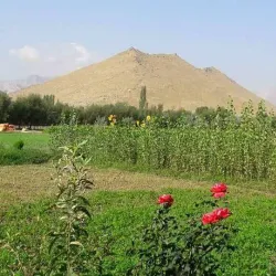 Natural Springs - Baraki Barak