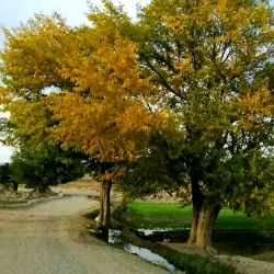 Surrounding Mountains - Baraki Barak
