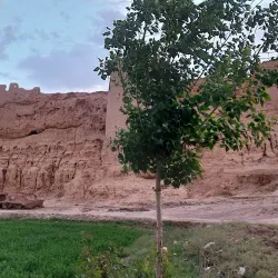 Farah Museum - Farah