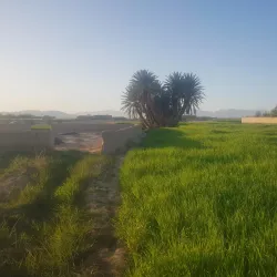 Traditional Afghan Villages - Farah