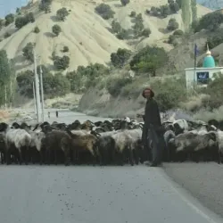 Gardez Bazaar - Gardez