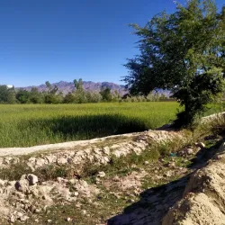 Gardez Bazaar - Gardez