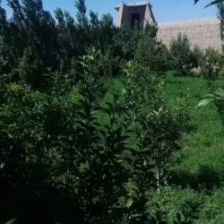 Gardez Valley - Gardez