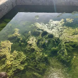 Paktia Provincial Museum - Gardez