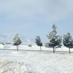 Paktia Provincial Museum - Gardez