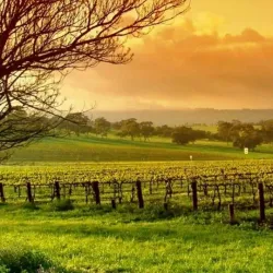 Ishkashim Bazaar - Ishkashim (Eshkashem)