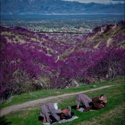 Cultural Festivals - Jabal-os-saraj