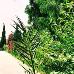 Nangarhar University - Jalalabad