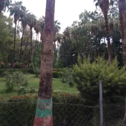 Nangarhar University - Jalalabad