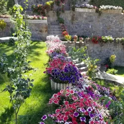 Paghman Gardens - Kabul