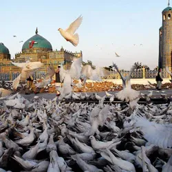 Koh-e Safi - Mazar-i-Sharif