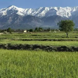 Koh-e Safid Mountains - Qala i Naw