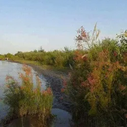 Jowzjan Province Rural Villages - Qarqin