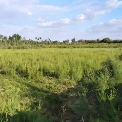 Jowzjan Province Rural Villages - Qarqin