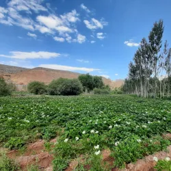 Nearby Historical Sites in Jowzjan Province - Qarqin