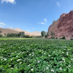 Nearby Historical Sites in Jowzjan Province - Qarqin