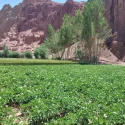 Nearby Historical Sites in Jowzjan Province - Qarqin