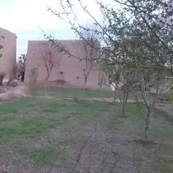 Qarqin Bazaar - Qarqin