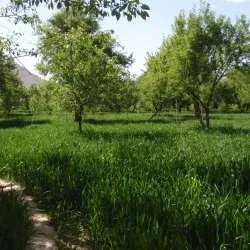 Chora District - Uruzgan