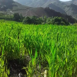 Daykundi Mountains - Uruzgan