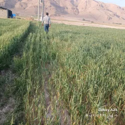 Helmand River - Uruzgan
