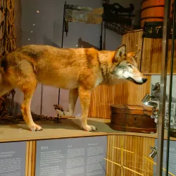 Aland Art Museum - Mariehamn