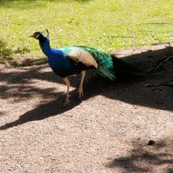 Lilla Holmen Park - Mariehamn