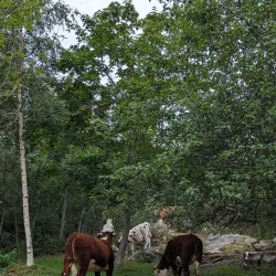 Norragården Nature Reserve - Mariehamn