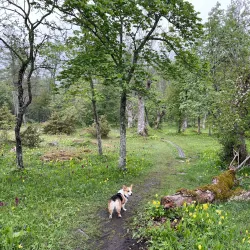 Norragården Nature Reserve - Mariehamn