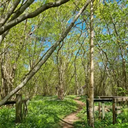 Norragården Nature Reserve - Mariehamn