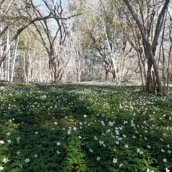 Norragården Nature Reserve - Mariehamn