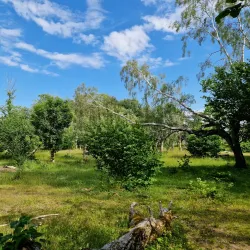 Norragården Nature Reserve - Mariehamn