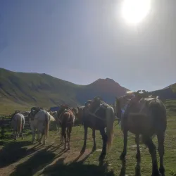 Dobërdol Village - Bajram Curri